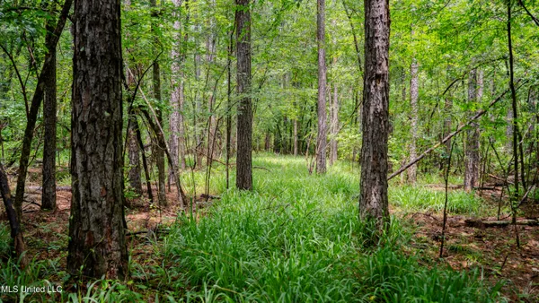 $162,902 | 0 Henderson Road, Jackson, MS 39272