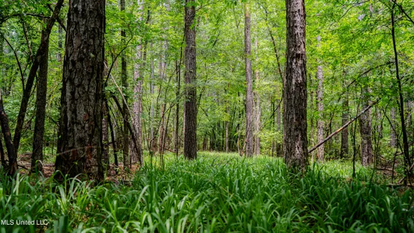 $162,902 | 0 Henderson Road, Jackson, MS 39272