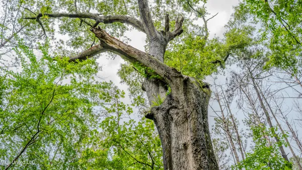 $162,902 | 0 Henderson Road, Jackson, MS 39272