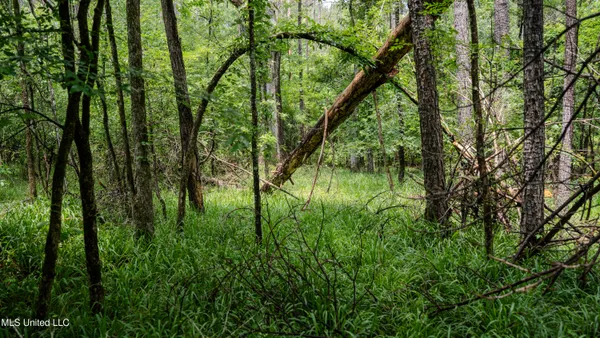 $162,902 | 0 Henderson Road, Jackson, MS 39272