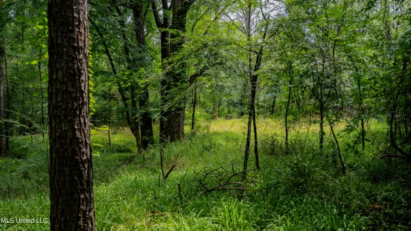 $162,902 | 0 Henderson Road, Jackson, MS 39272