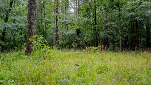 $162,902 | 0 Henderson Road, Jackson, MS 39272