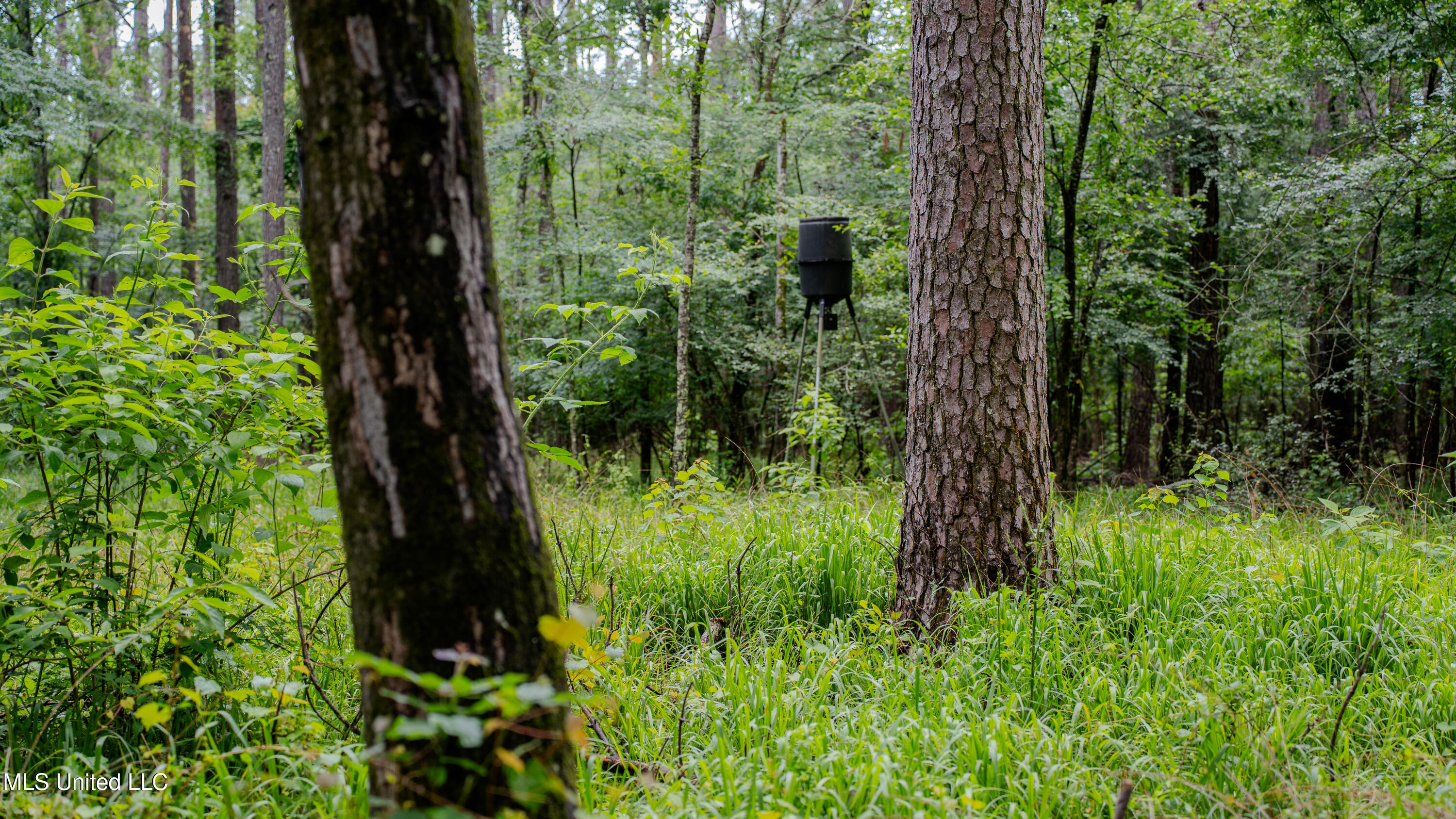 0 Henderson Road Jackson, MS 39272 - Photo 22 of 41 MWLG-38.32Acres-Henderson Rd 05_17_25-27