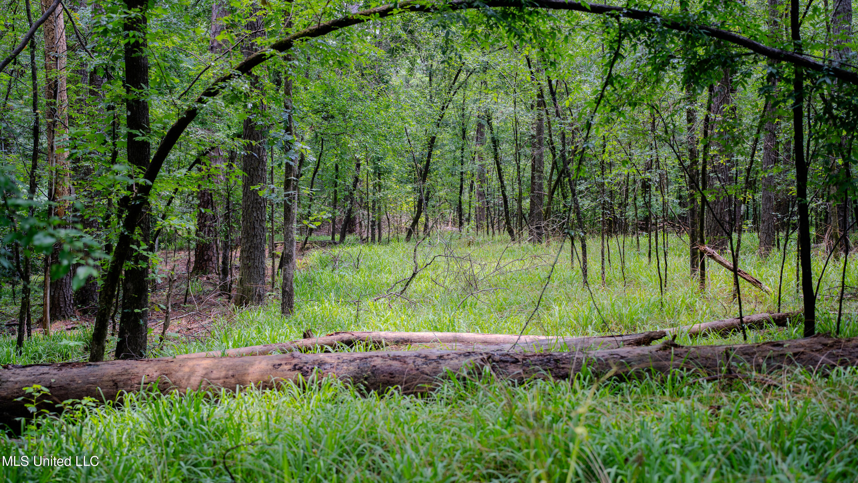 0 Henderson Road Jackson, MS 39272 - Photo 23 of 41 MWLG-38.32Acres-Henderson Rd 05_17_25-29
