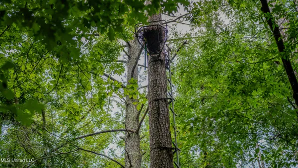 $162,902 | 0 Henderson Road, Jackson, MS 39272