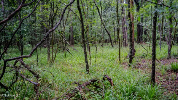 $162,902 | 0 Henderson Road, Jackson, MS 39272