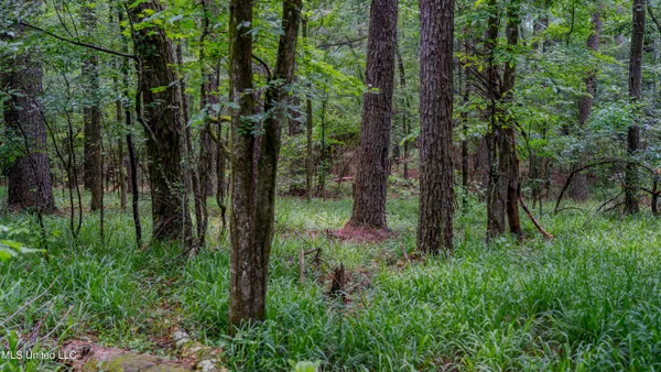 $162,902 | 0 Henderson Road, Jackson, MS 39272