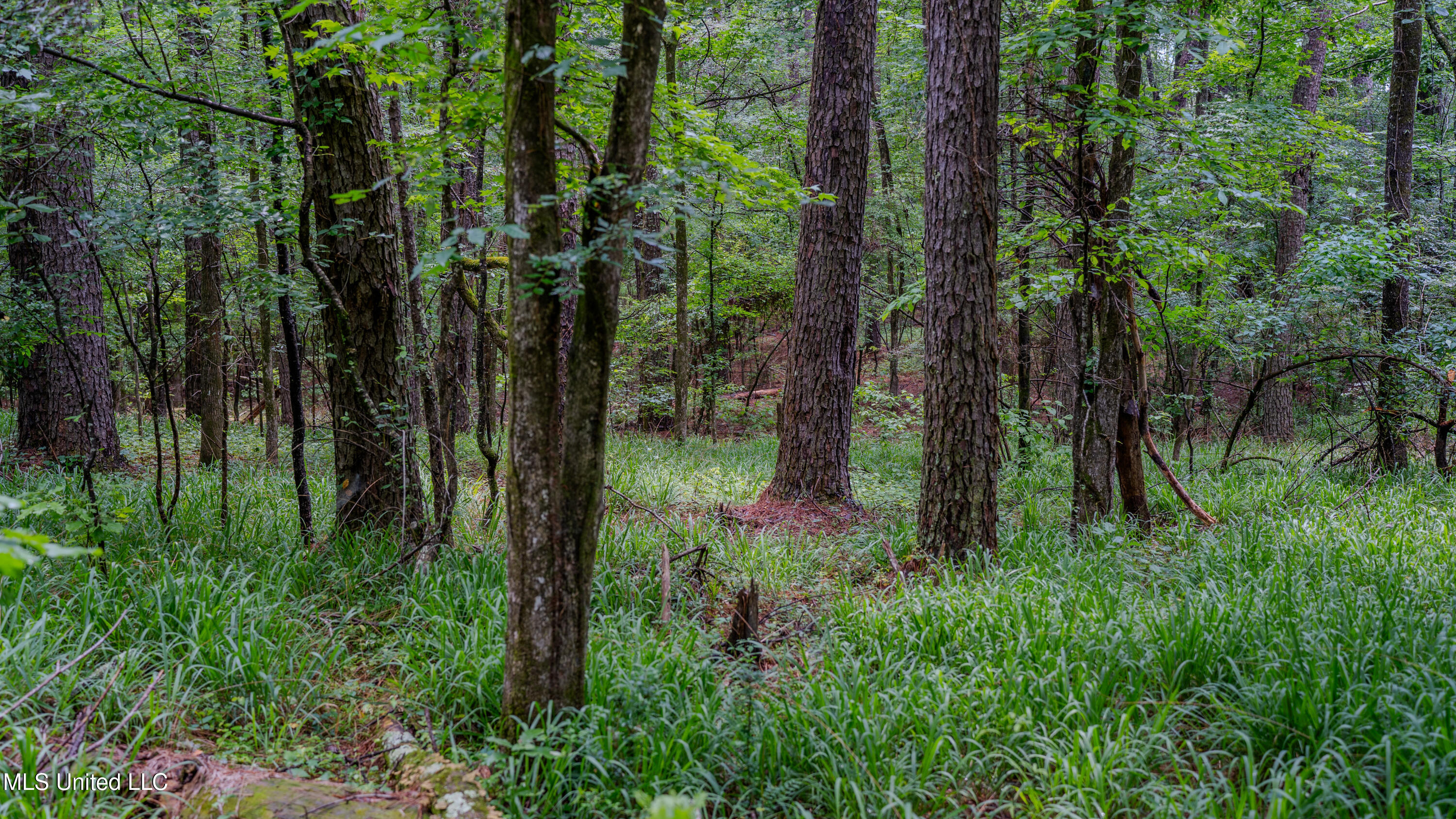 0 Henderson Road Jackson, MS 39272 - Photo 26 of 41 MWLG-38.32Acres-Henderson Rd 05_17_25-32