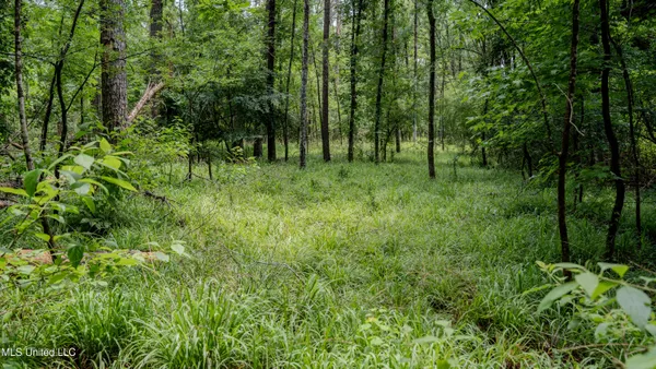 $162,902 | 0 Henderson Road, Jackson, MS 39272