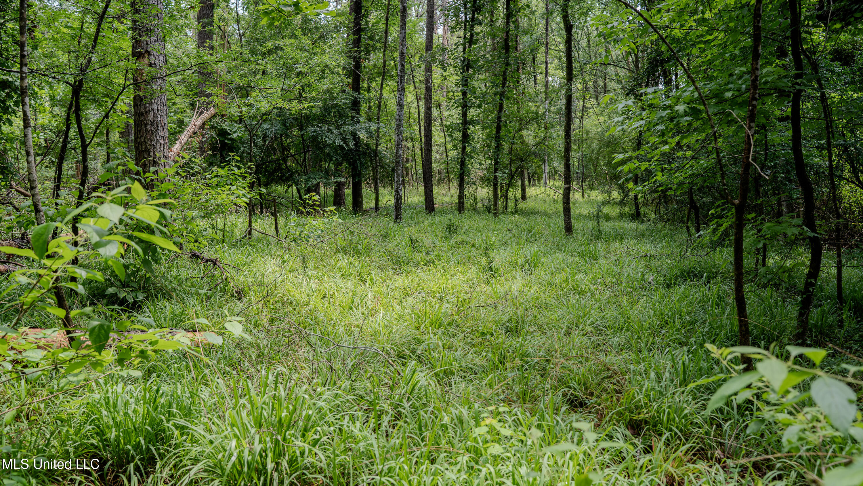 0 Henderson Road Jackson, MS 39272 - Photo 27 of 41 MWLG-38.32Acres-Henderson Rd 05_17_25-33