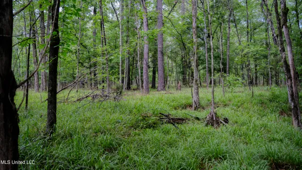 $162,902 | 0 Henderson Road, Jackson, MS 39272