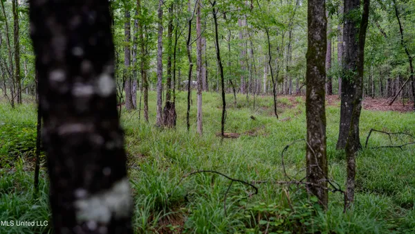 $162,902 | 0 Henderson Road, Jackson, MS 39272