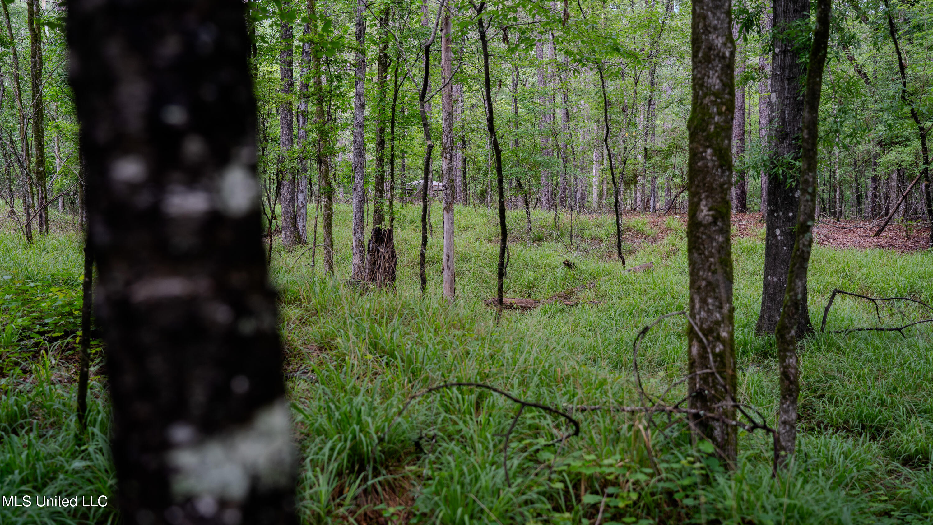 0 Henderson Road Jackson, MS 39272 - Photo 30 of 41 MWLG-38.32Acres-Henderson Rd 05_17_25-37