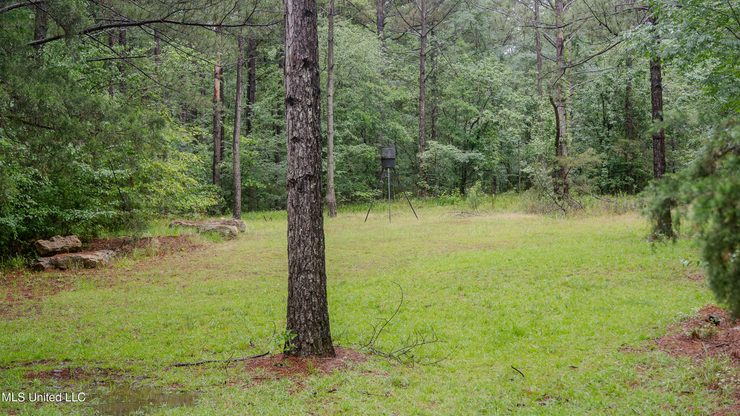 0 Henderson Road Jackson, MS 39272 - Photo 3 of 41 MWLG-38.32Acres-Henderson Rd 05_17_25-03