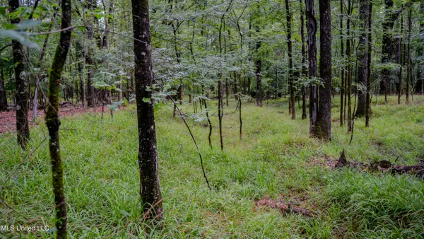 $162,902 | 0 Henderson Road, Jackson, MS 39272