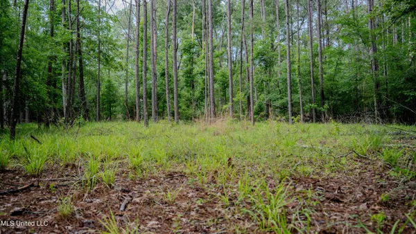 $162,902 | 0 Henderson Road, Jackson, MS 39272