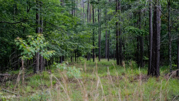 $162,902 | 0 Henderson Road, Jackson, MS 39272