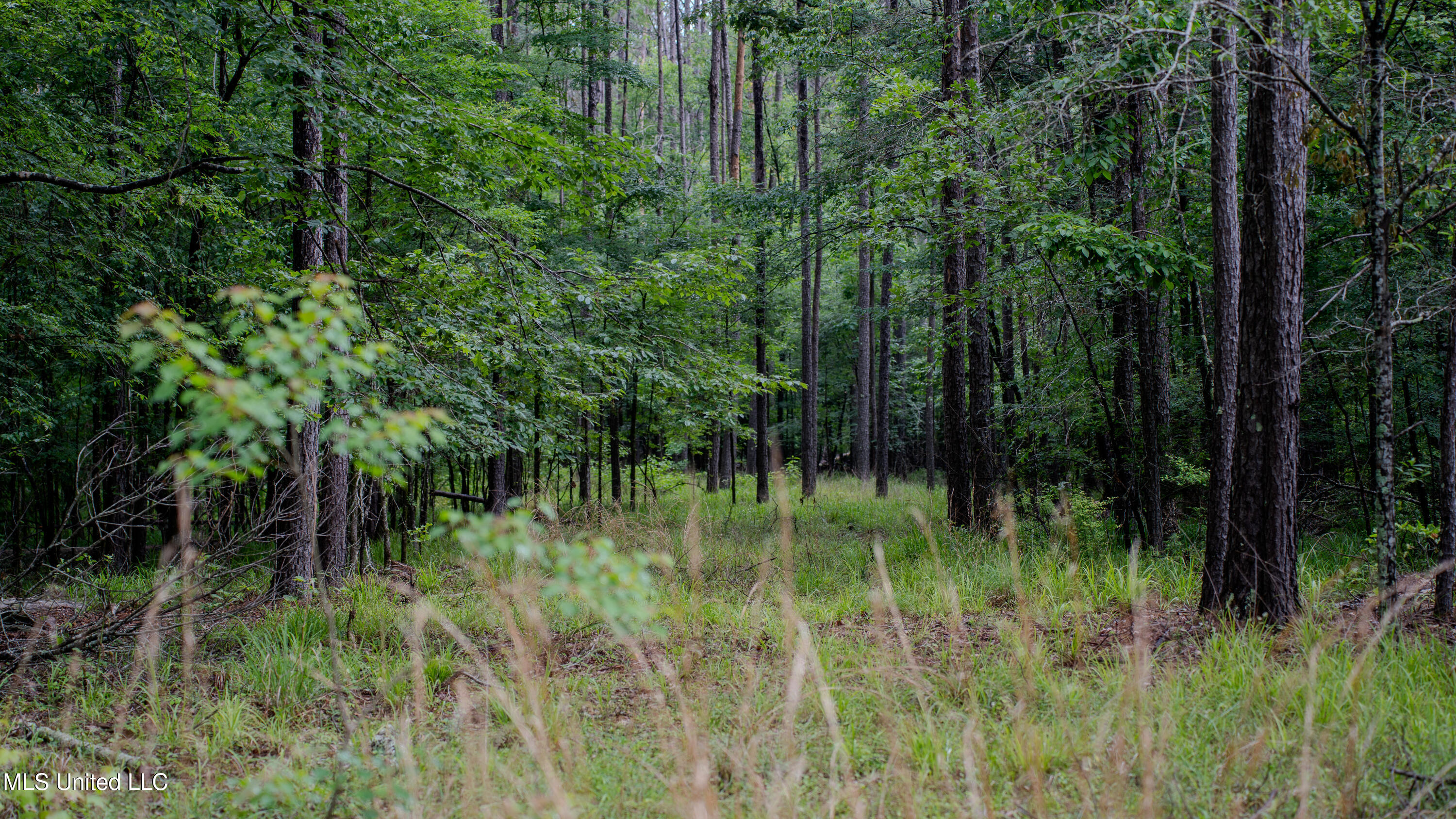 0 Henderson Road Jackson, MS 39272 - Photo 33 of 41 MWLG-38.32Acres-Henderson Rd 05_17_25-41