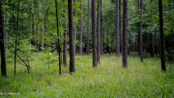 $162,902 | 0 Henderson Road, Jackson, MS 39272