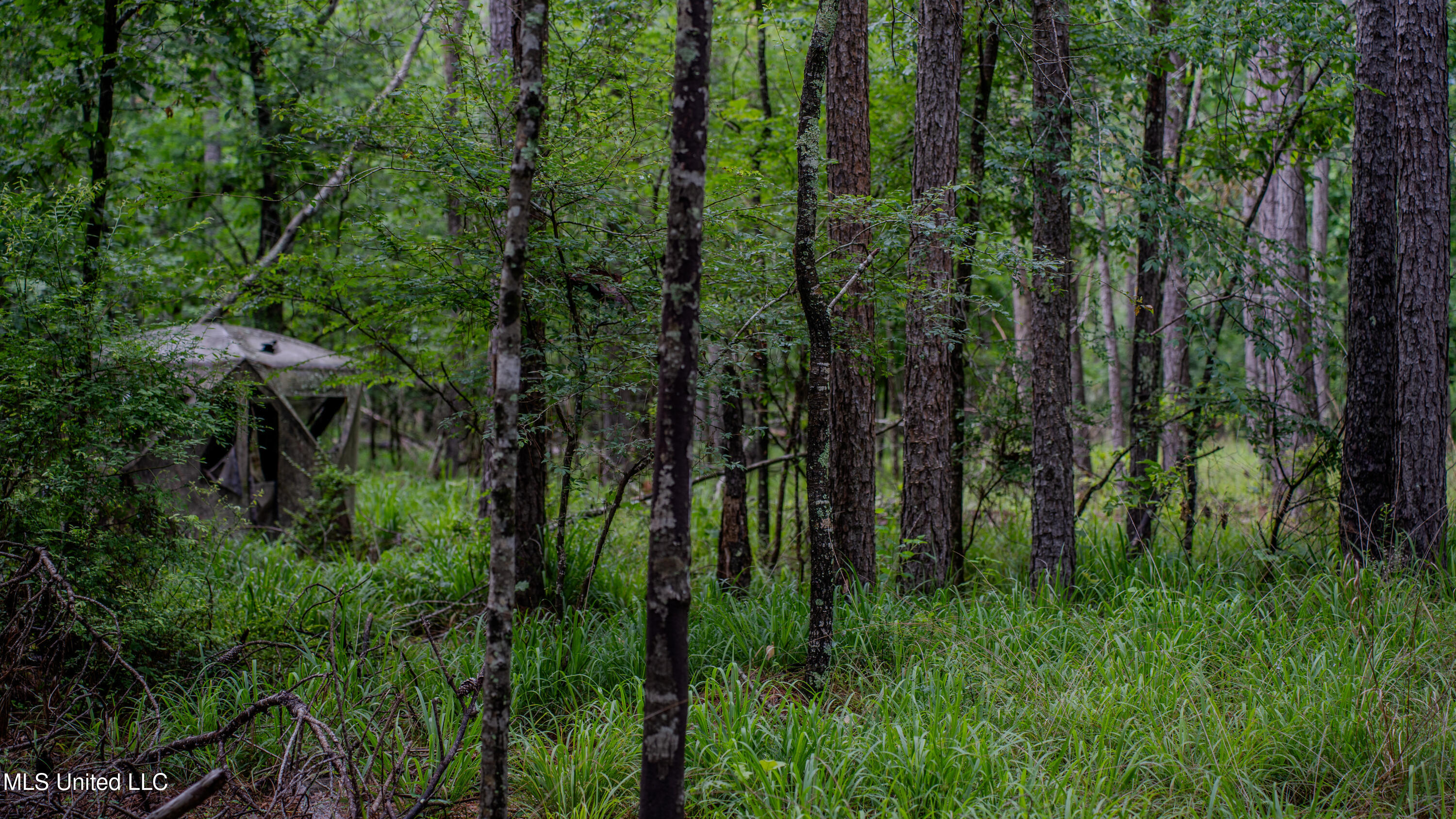 0 Henderson Road Jackson, MS 39272 - Photo 35 of 41 MWLG-38.32Acres-Henderson Rd 05_17_25-43