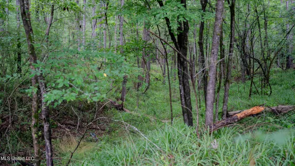 $162,902 | 0 Henderson Road, Jackson, MS 39272