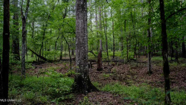 $162,902 | 0 Henderson Road, Jackson, MS 39272