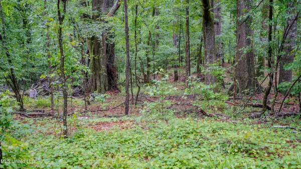 $162,902 | 0 Henderson Road, Jackson, MS 39272