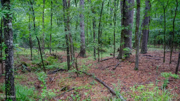 $162,902 | 0 Henderson Road, Jackson, MS 39272