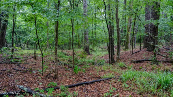 $162,902 | 0 Henderson Road, Jackson, MS 39272