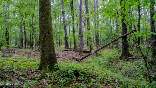 $162,902 | 0 Henderson Road, Jackson, MS 39272