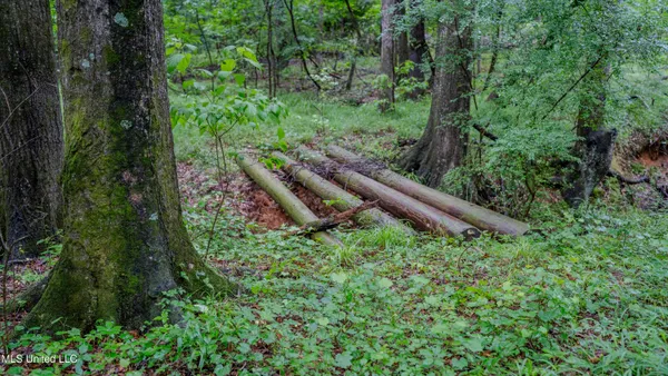 $162,902 | 0 Henderson Road, Jackson, MS 39272