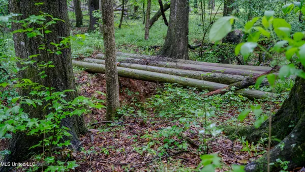 $162,902 | 0 Henderson Road, Jackson, MS 39272