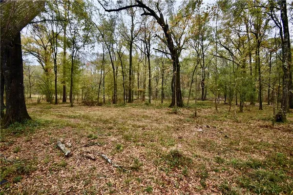 $130,000 | 104 Truman Cole Road, Deville, LA 71328
