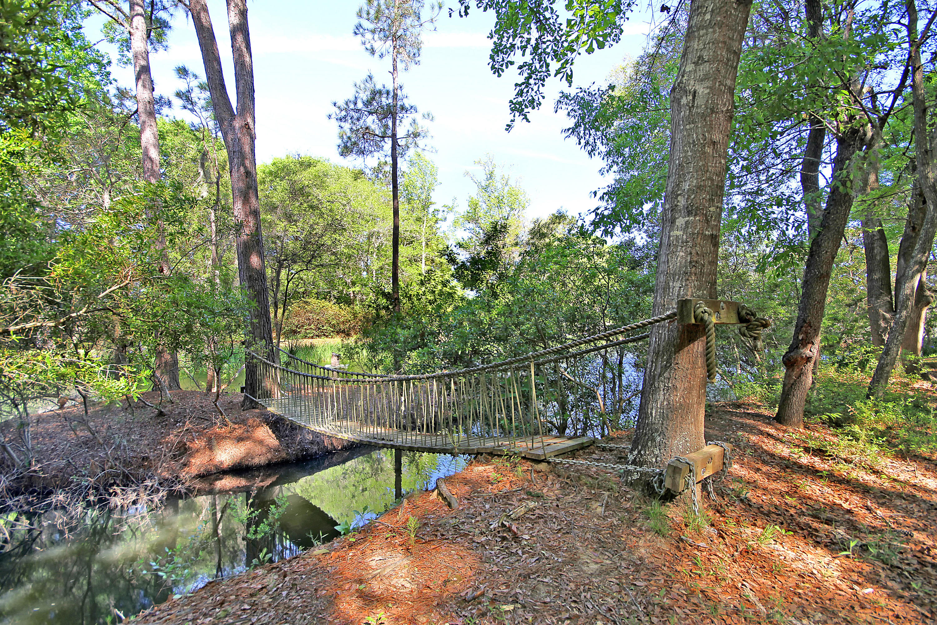 4884 Bears Bluff Road Wadmalaw Island, SC 29487 - Photo 14 of 100 Bridge to a Private Island