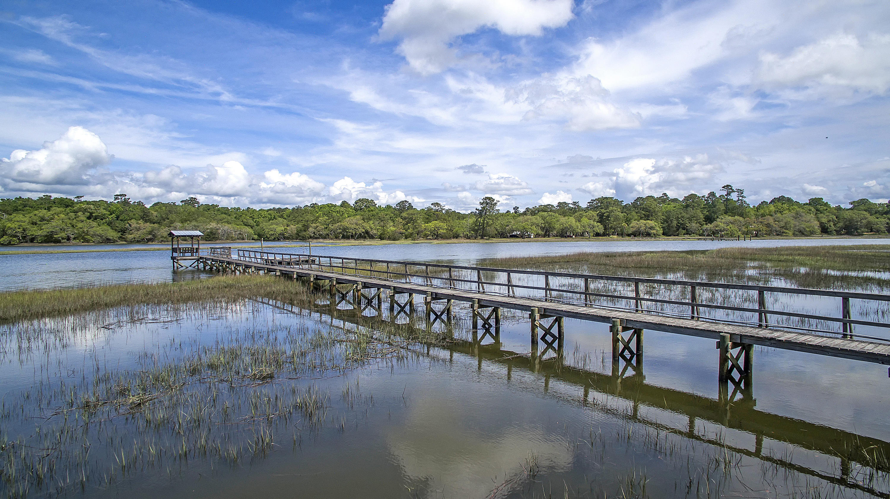 4884 Bears Bluff Road Wadmalaw Island, SC 29487 - Photo 3 of 100 DEEP WATER Dock