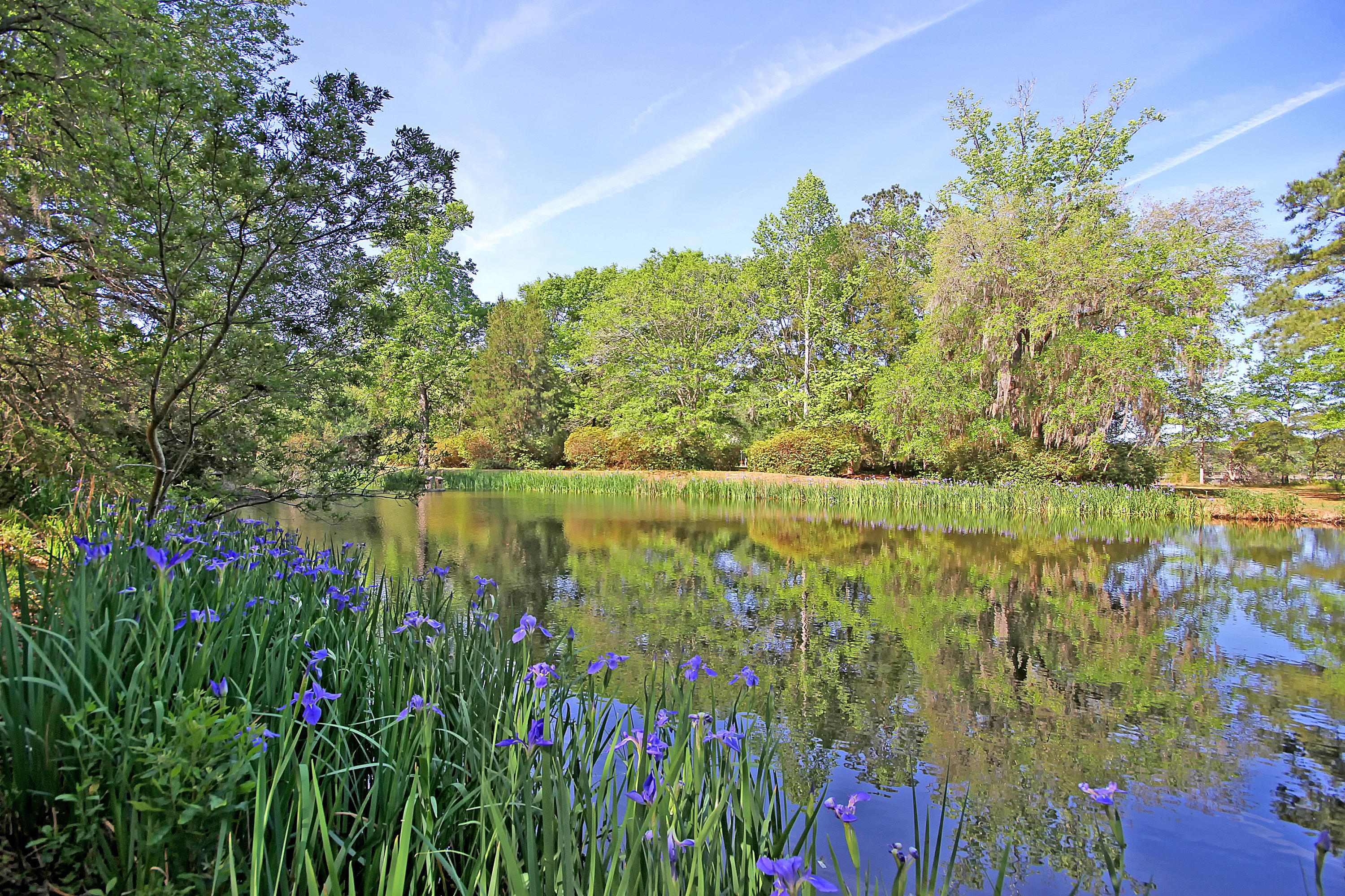 4884 Bears Bluff Road Wadmalaw Island, SC 29487 - Photo 40 of 100 1-Acre Fishing Pond