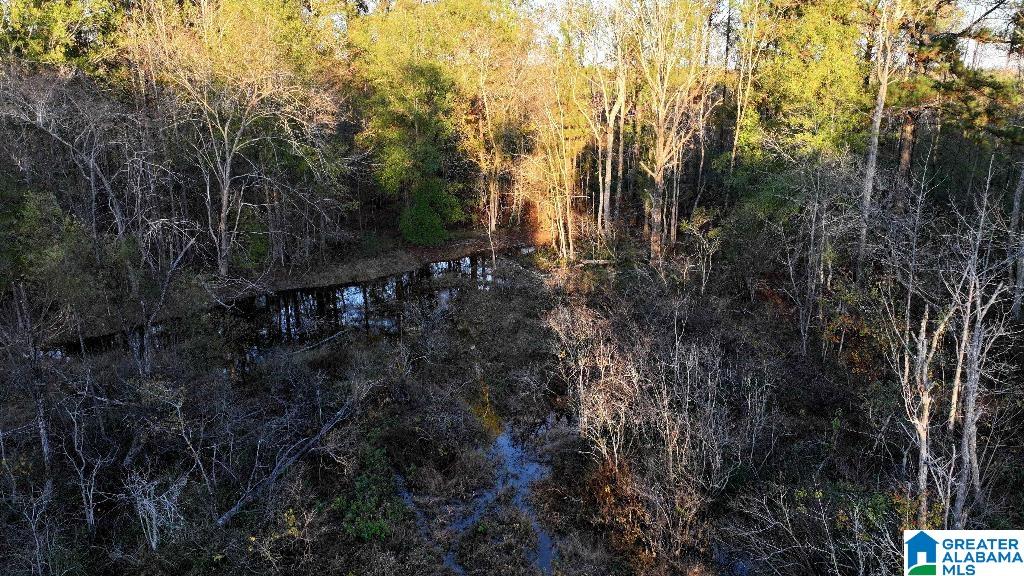200 Kelly Creek Road Odenville, AL 35120 - Photo 26 of 47