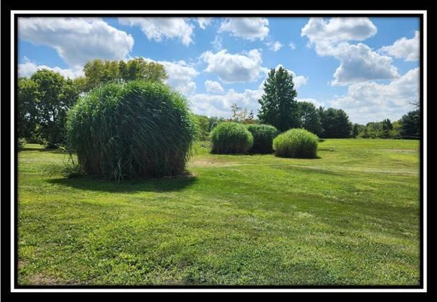 0 Winchester Road, Unit TRACT 7) Ashville, OH 43103 - Photo 3 of 100 image003