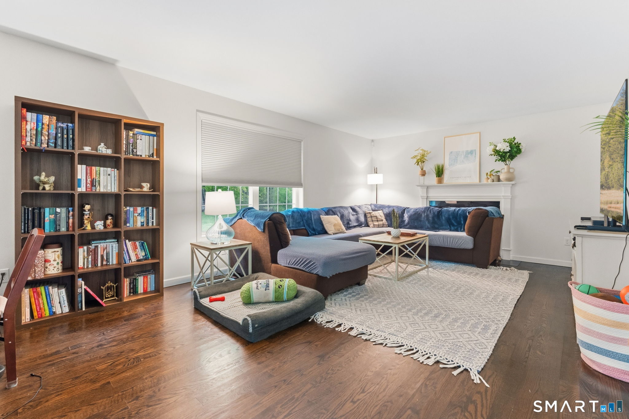 160 Canal Road Suffield, CT 06078 - Photo 14 of 40 a living room with furniture and a book shelf