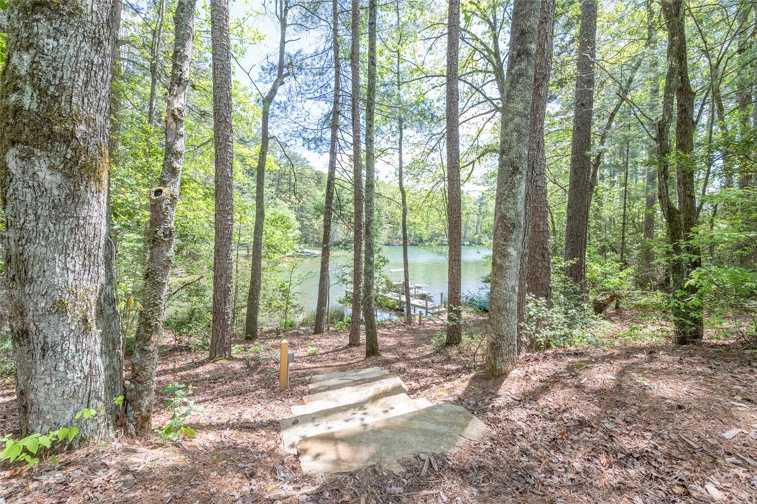 681 Chattooga Lake Road Mountain Rest, SC 29664 - Photo 35 of 43 Gallery Image 35
