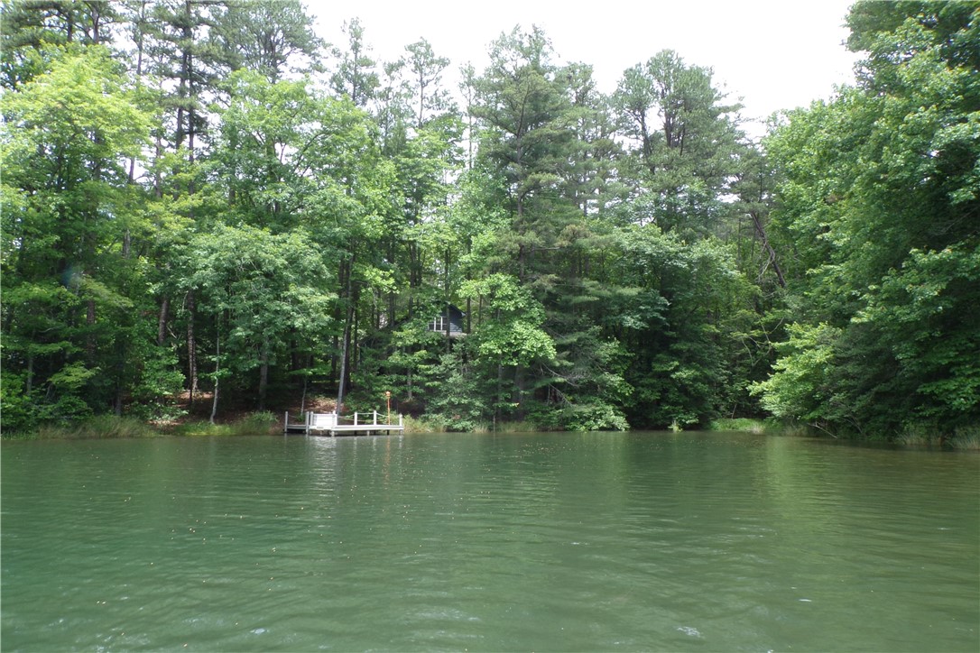681 Chattooga Lake Road Mountain Rest, SC 29664 - Photo 4 of 43 Gallery Image 4