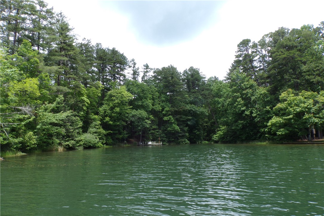 681 Chattooga Lake Road Mountain Rest, SC 29664 - Photo 43 of 43 Gallery Image 43
