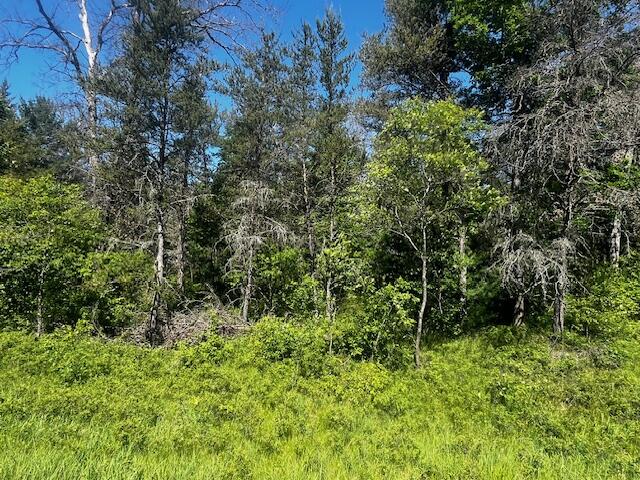 1 M-37 Baldwin, MI 49304 - Photo 8 of 15