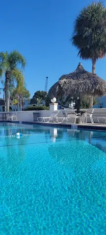 $1,500 | 349 South McMullen Booth Road, Unit 125, Clearwater, FL 33759