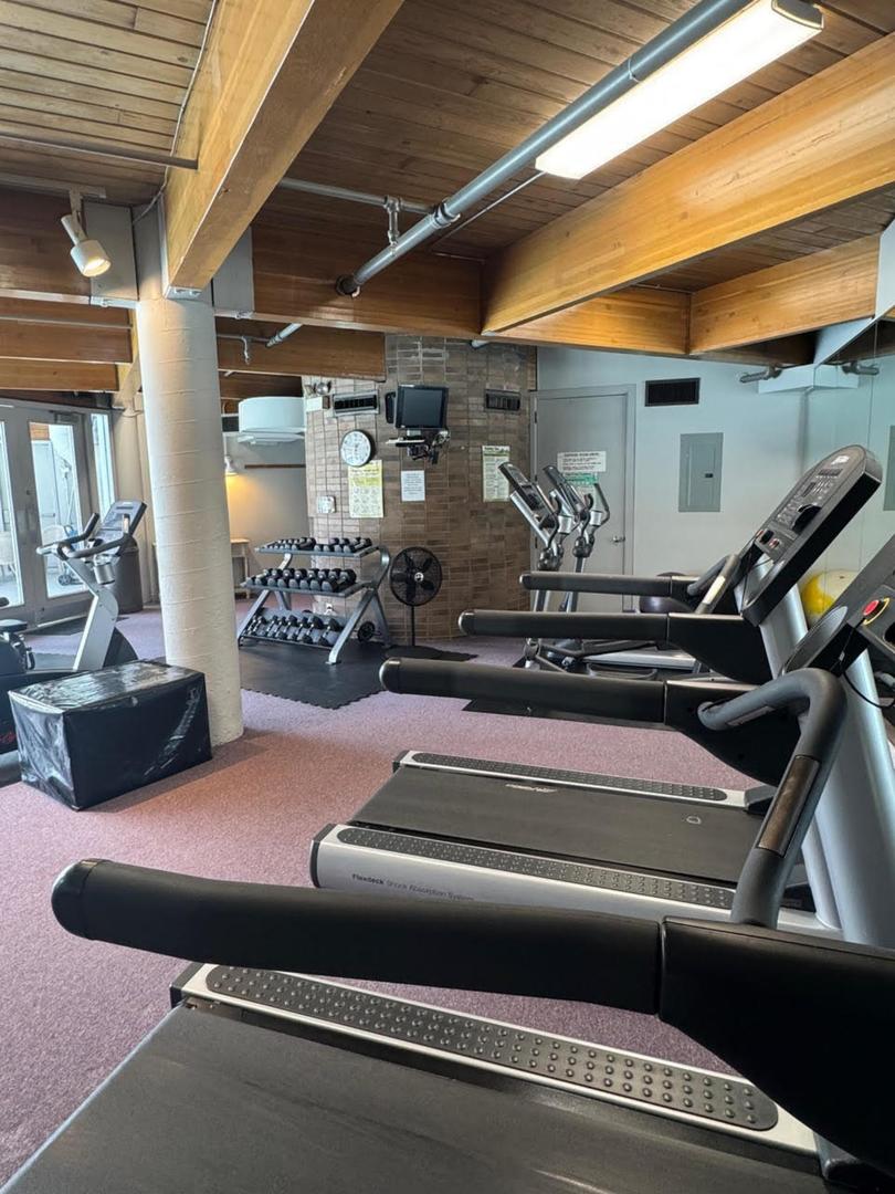 1 Maple Tree Court Elmhurst, IL 60126 - Photo 34 of 34 a view of a room with gym equipment