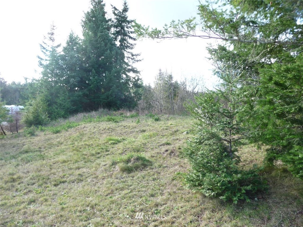 491 Rhododendron Drive Sequim, WA 98382 - Photo 6 of 7 Gallery Image 6