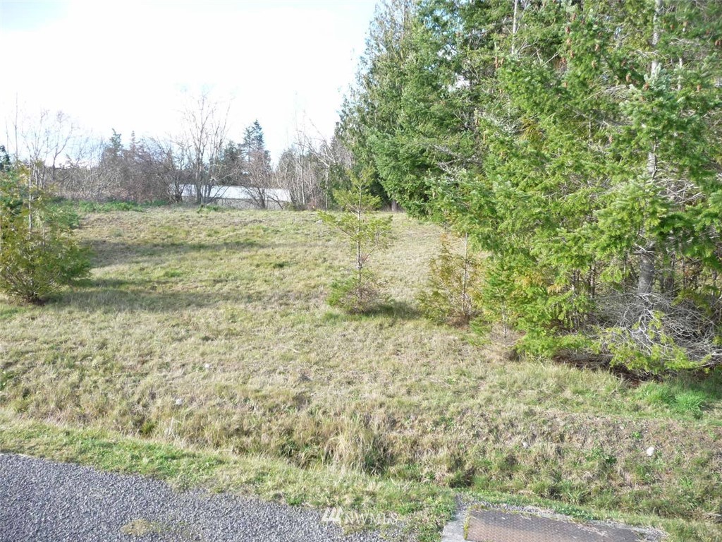 491 Rhododendron Drive Sequim, WA 98382 - Photo 7 of 7 Gallery Image 7