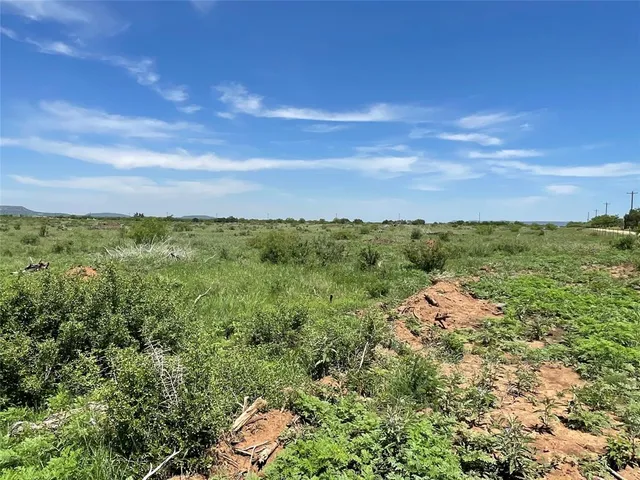 a view of a garden with an outdoor space