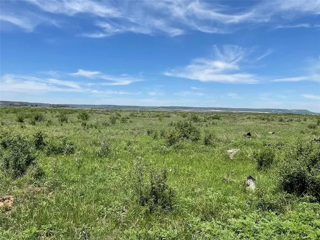 a view of a yard with an trees