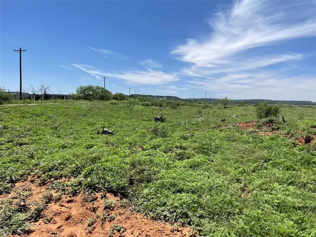 a view of a yard with an trees